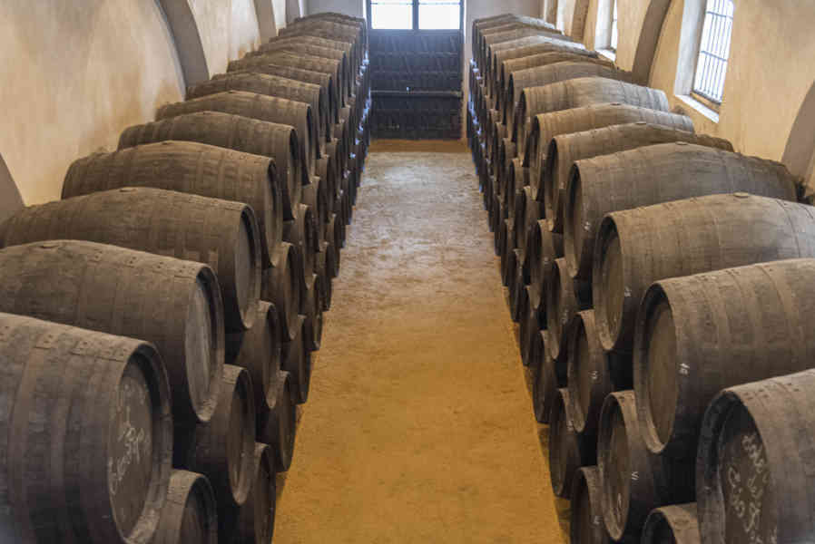 Cádiz - Jerez de la Frontera 54 - bodegas Gonzalez Byass.jpg